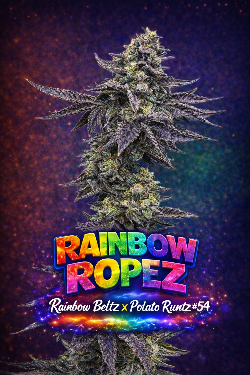 Rainbow Ropez (Feminized Seeds) — 12 Pack